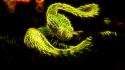 Nature fractalius snakes glow reptiles wallpaper