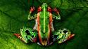 Airbrushed artwork frogs green humans wallpaper