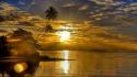 Beaches landscapes nature palm trees sea wallpaper