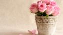 Bucket flowers pink roses vase wallpaper