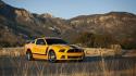 Cars ford muscle mustang wallpaper
