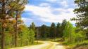 Green clouds landscapes nature trees forests grass roads wallpaper