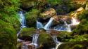 Green water landscapes nature trees rocks waterfalls creek wallpaper