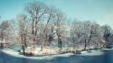 Ice snow trees wallpaper