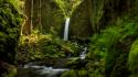 Nature forests oregon waterfalls ruckel creek falls wallpaper