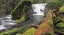 Rocks usa moss oregon logs waterfalls rivers wallpaper