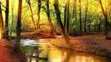 Water landscapes nature trees outdoors wallpaper