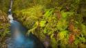 Chile pumalin national park x region blue creek wallpaper