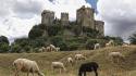 Europe spain andalusian sheeps cordoba almodovar castle wallpaper