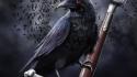 Fantasy art artwork swords raven wallpaper