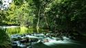 Green water landscapes nature trees plants sign wallpaper