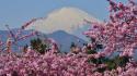Japan mountains landscapes mount fuji wallpaper