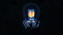 Ocean dark fish medusa glowing underwater alexander semenov wallpaper