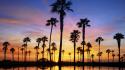 Sunset nature silhouettes palm trees wallpaper