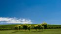 Australia fields landscapes nature skies wallpaper