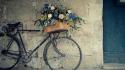 Bicycles photograph wallpaper