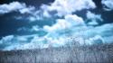 Blue clouds grass infrared photography wallpaper