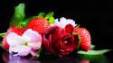 Flowers food strawberries roses wallpaper