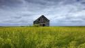 Grass houses fields meadows barn abandoned skyscapes wallpaper