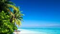 Tropical soul beach wallpaper