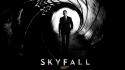 Skyfall 2012 Movie wallpaper