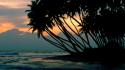 Sunset beach palm trees wallpaper