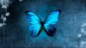 Blue morpho butterflies wallpaper