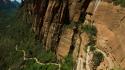 Cliffs plants utah national park zion trails wallpaper