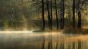 Forests fog silent lagoon reflections morning view wallpaper
