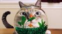 Cats goldfish fish tank situation wallpaper