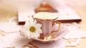 Flowers coffee food brown beans drinking and milk wallpaper