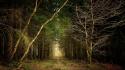 Red mystical ego natural beauty forest path wallpaper