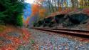 Landscapes nature forests railroad tracks wallpaper