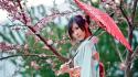 Asians japanese sakura cherry blossoms umbrellas wallpaper