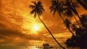 Beach palm trees sunset wallpaper