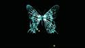 Fringe tv series butterflies wallpaper