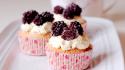 Desert food cupcakes meal wallpaper