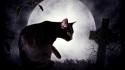Edgar allan poe bats cats cemetery dark wallpaper