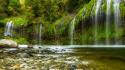 Green water landscapes nature trees forests waterfalls creek wallpaper