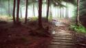 Landscapes nature trees forests paths fog trail dawning wallpaper