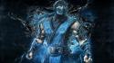 Mortal kombat artwork warriors subzero mk9 hapkido wallpaper