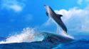 Animals dolphins sealife wallpaper