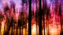 Artistic digital art lights nature trees wallpaper