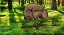 Forests animals drawings boar wallpaper