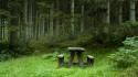 Forests tables calm bench wallpaper