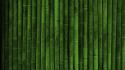 Green nature bamboo wallpaper
