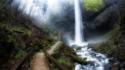 Oregon creek falls forests landscapes wallpaper
