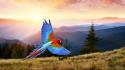 Scarlet macaws birds landscapes wallpaper