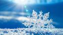 Snowflakes icy crystal wallpaper