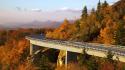 Trees autumn forests roads viaduct colors cove wallpaper